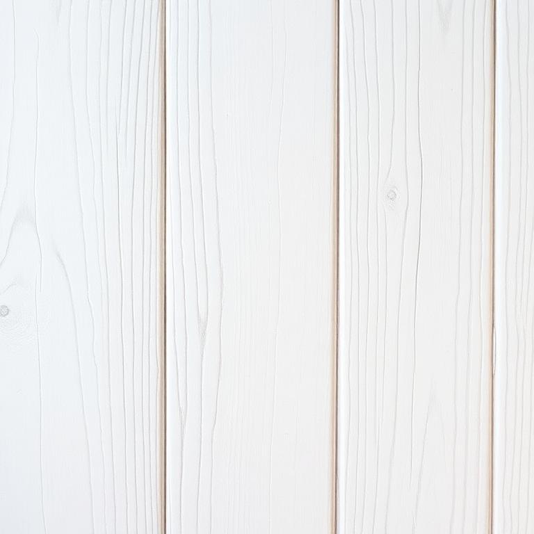 Coastal White shiplap coastal wall finish